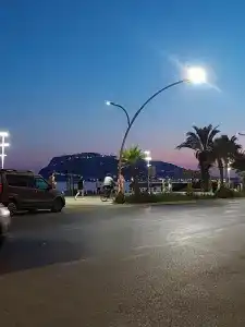 Kaila Krizantem - 48