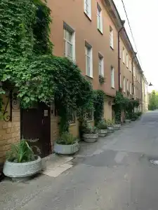 Трезини Арт-отель - 5