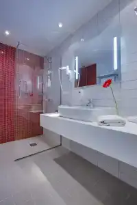 Cosmos, a member of Radisson Individuals - 46