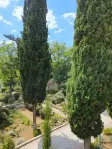 Sevastopol Tourist base - 50