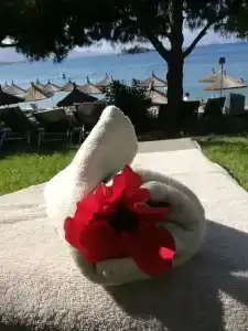 Yasmin Bodrum Resort - 44