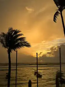 Coral Sands - 62
