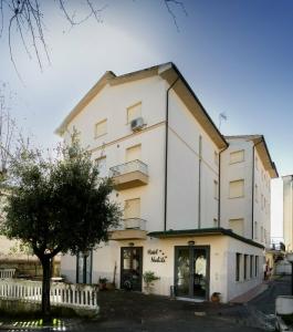 Nobile - 6