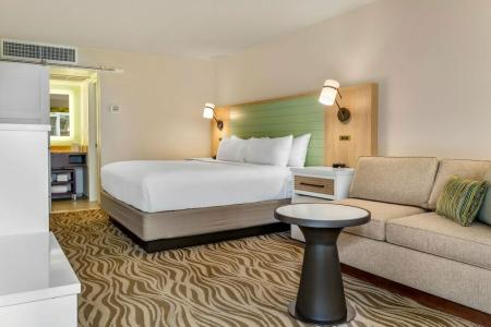 Wyndham Garden Lake Buena Vista – Disney Springs® Area - 67