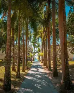 Shandrani Beachcomber Resort & Spa - 7