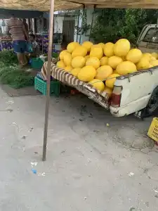 Dar Lola Djerba - 14