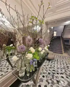 Cosmos Selection Saint-Petersburg Italyanskaya - 40