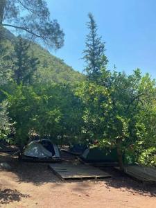 Camlik Pansiyon - Adults Only (16+) - 20