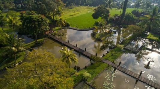 Tanah Gajah, a Resort by Hadiprana - 9