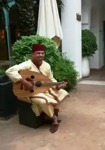 Les Jardins De La Médina - 5