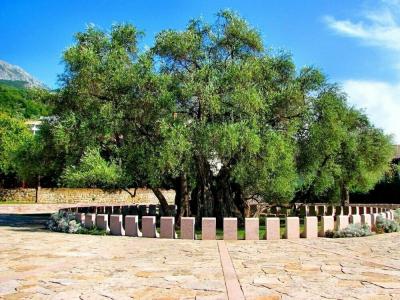 Stara Čaršija & Spa - 14