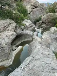 Pansionat Zelenogorie - 58