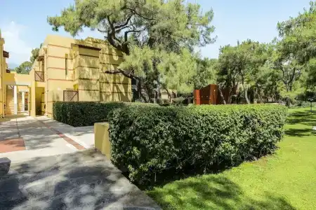 Robinson Camyuva - Adults Only - 52