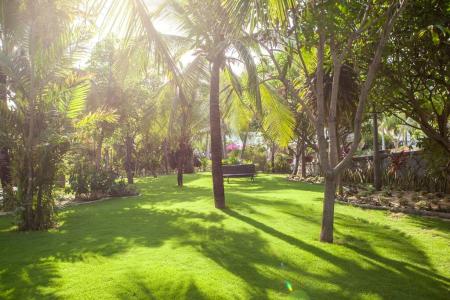 Allezboo Beach Resort & Spa - 78