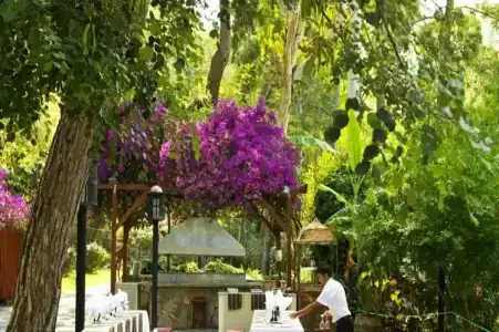 Robinson Camyuva - Adults Only - 42