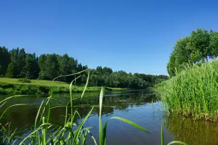 Парк-отель "Прибрежный Ярбург" - 60