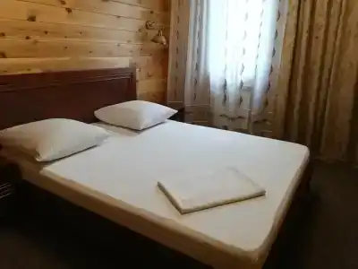 Пегас - 78