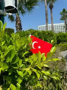 Crystal Centro Pearl Collection - Ultimate All Inclusive - 33