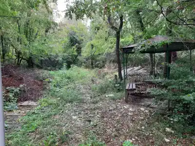 Barguzin - 25