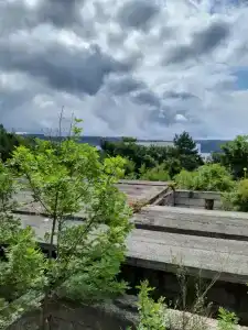 Barguzin - 6