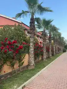 Club Side Coast - 17