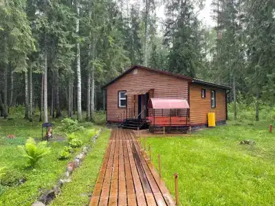 Volkovskiy ruchey - 14