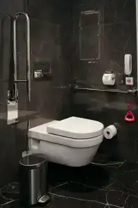 Cosmos Selection Saint-Petersburg Italyanskaya - 59