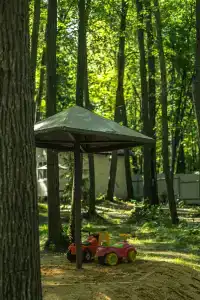 Baza Otdykha Monte-Karlo - 37