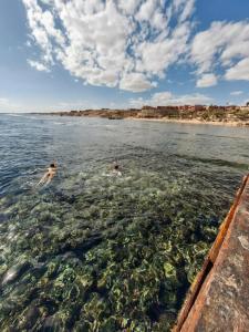 Sharm Bride Resort Aqua & Spa - 33