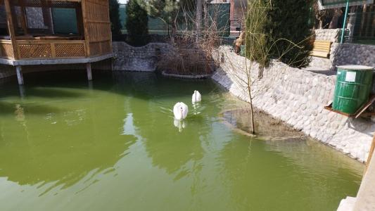 Shik Village Resort & Spa - 9