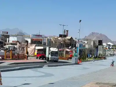 Falcon Naama Star - 15