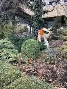 Pyatigorskaya Klinika Guest house - 36