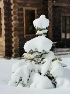 Verhnie Golubyye Ozyora - 44