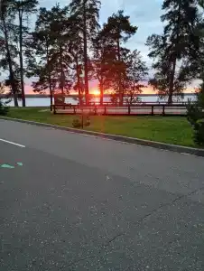 Detskiy Sanatoriy "Rosinka" - 50