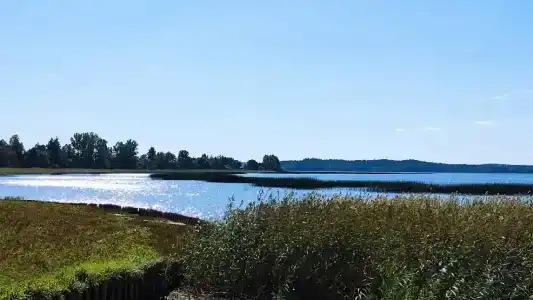 Detskiy Sanatoriy "Rosinka" - 63