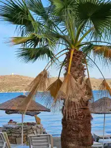 Royal Asarlik Beach - 29