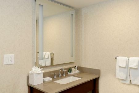 Hilton Niagara Falls/ Fallsview and Suites - 67