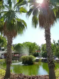 Megasaray Resort Side - 21