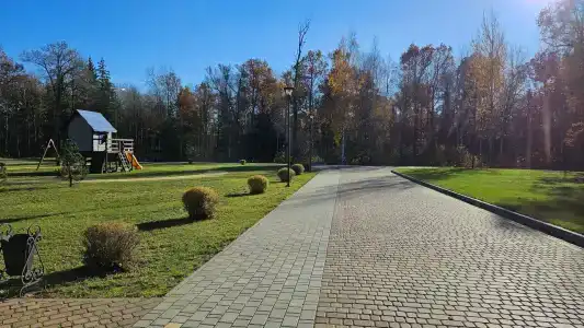 Berezinskaya Dubrava - 89