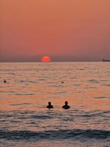 Occidental Sharjah Grand - 32