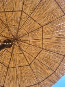 ОАЗИС домики - 96