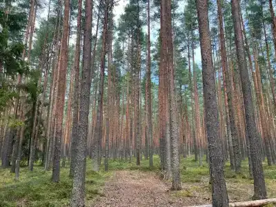 Urev Tourist base - 23