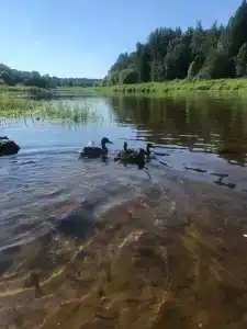 Mitino Health Resort - 48