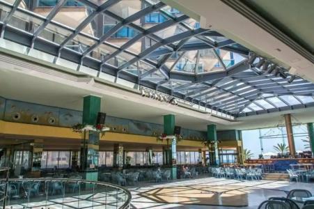 Kaktus Kaktus Albir - 12