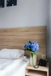 Номера на Садовой - 88