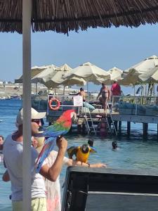 Ayaz Aqua - All Inclusive - 35