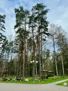 Complex Kamenyuky - 20