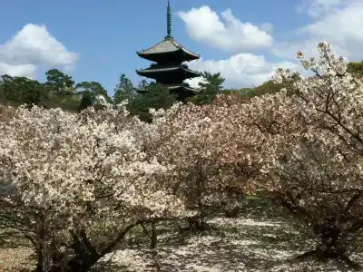 M’s Est Shijo - Karasuma - 5
