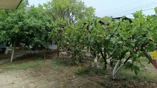 Recreation center Lukoyl - 5