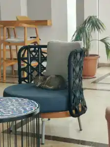 Corendon Hydros Club - 72